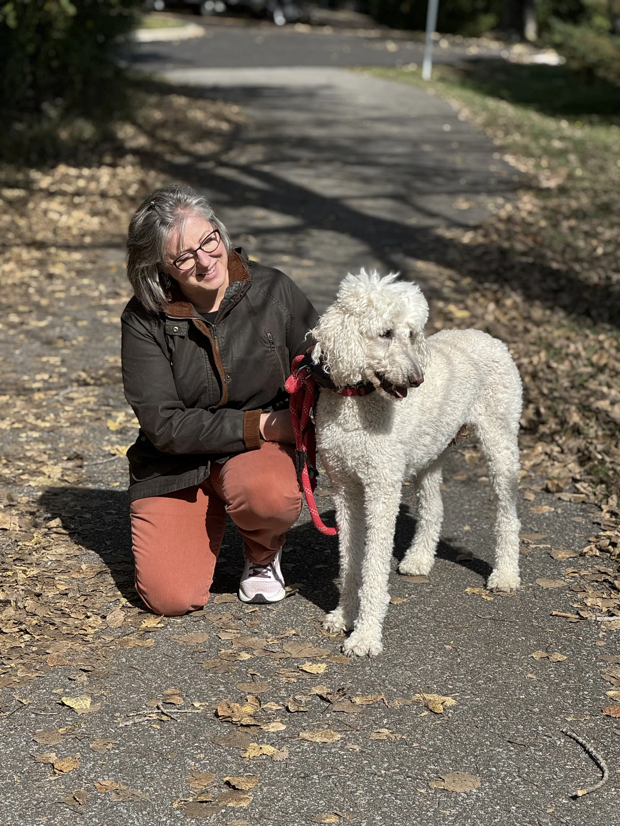 A woman crouching on a leaf-covered path with a large white doodle dog on a red leash in a park during autumn.