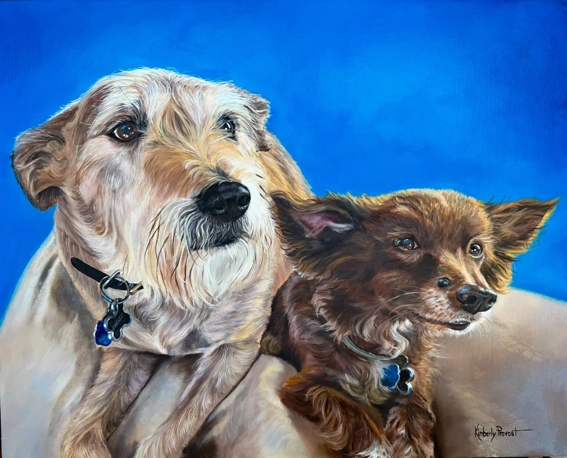Kim's pet portrait of two dogs in oil paint