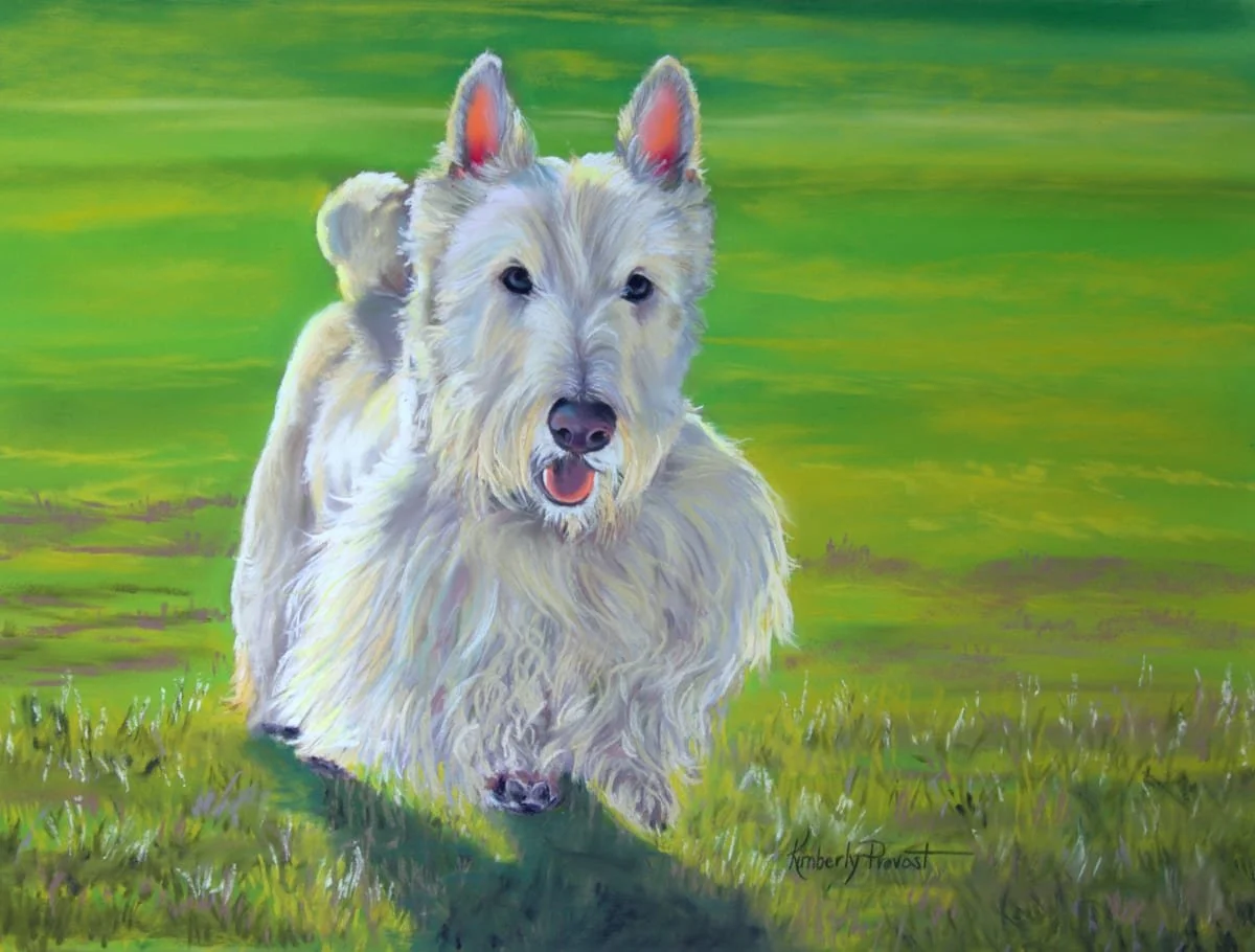 Mr. Wilson - Passed.jpg