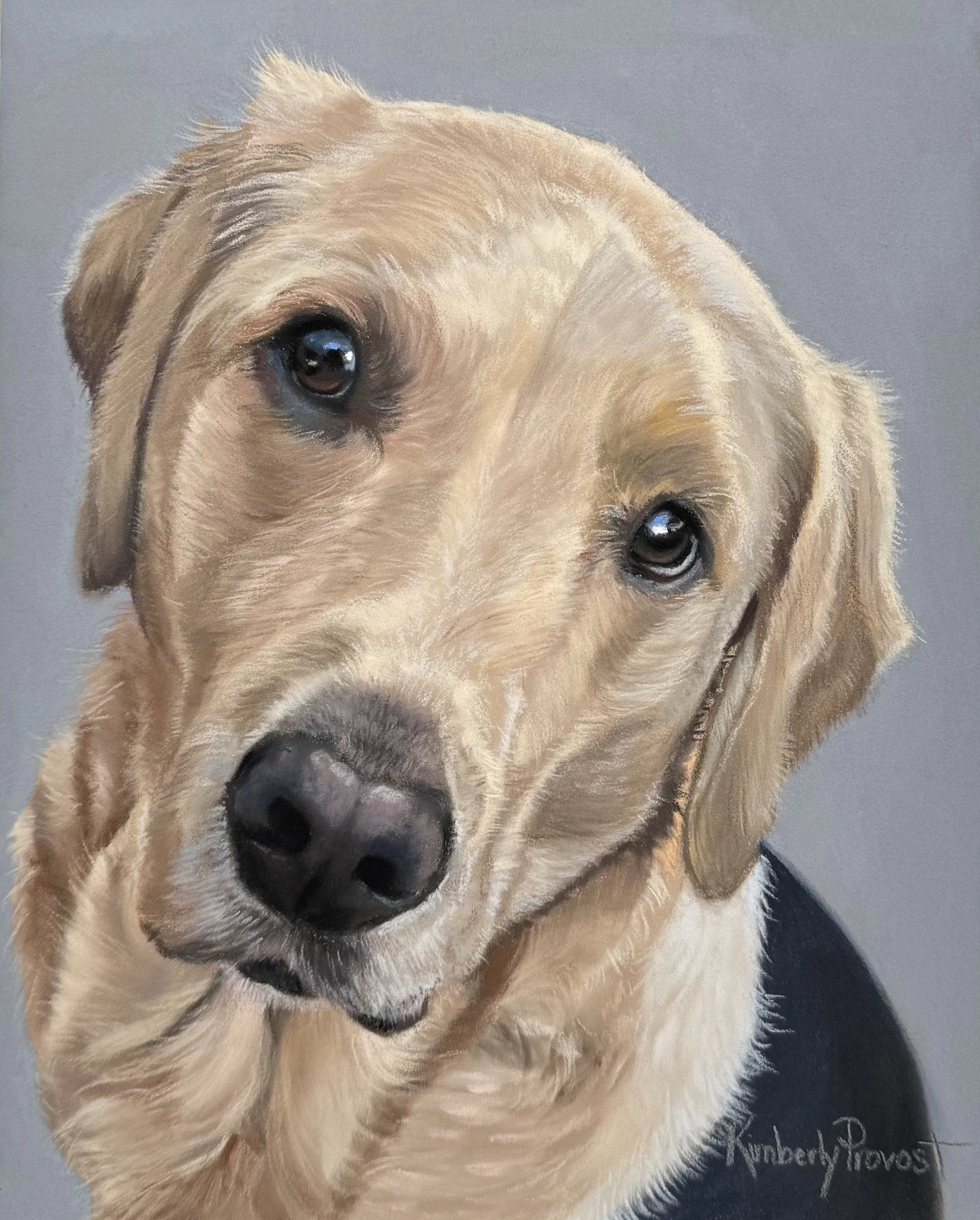 Sally | Pastel (Christmas 2025) “those eyes!)