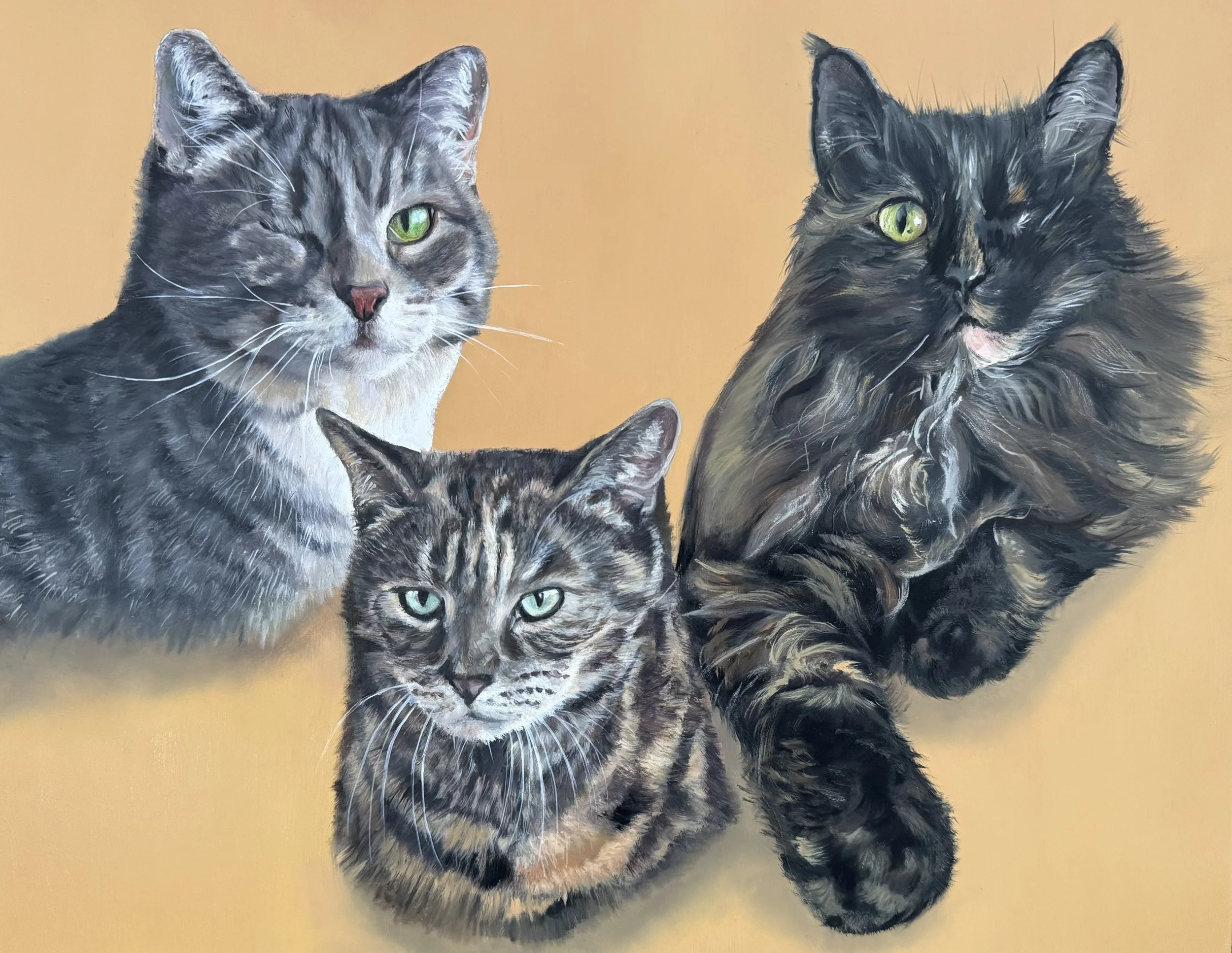 Gracie, Abbie & Lulu (rescue kitties)  Oil on Panel