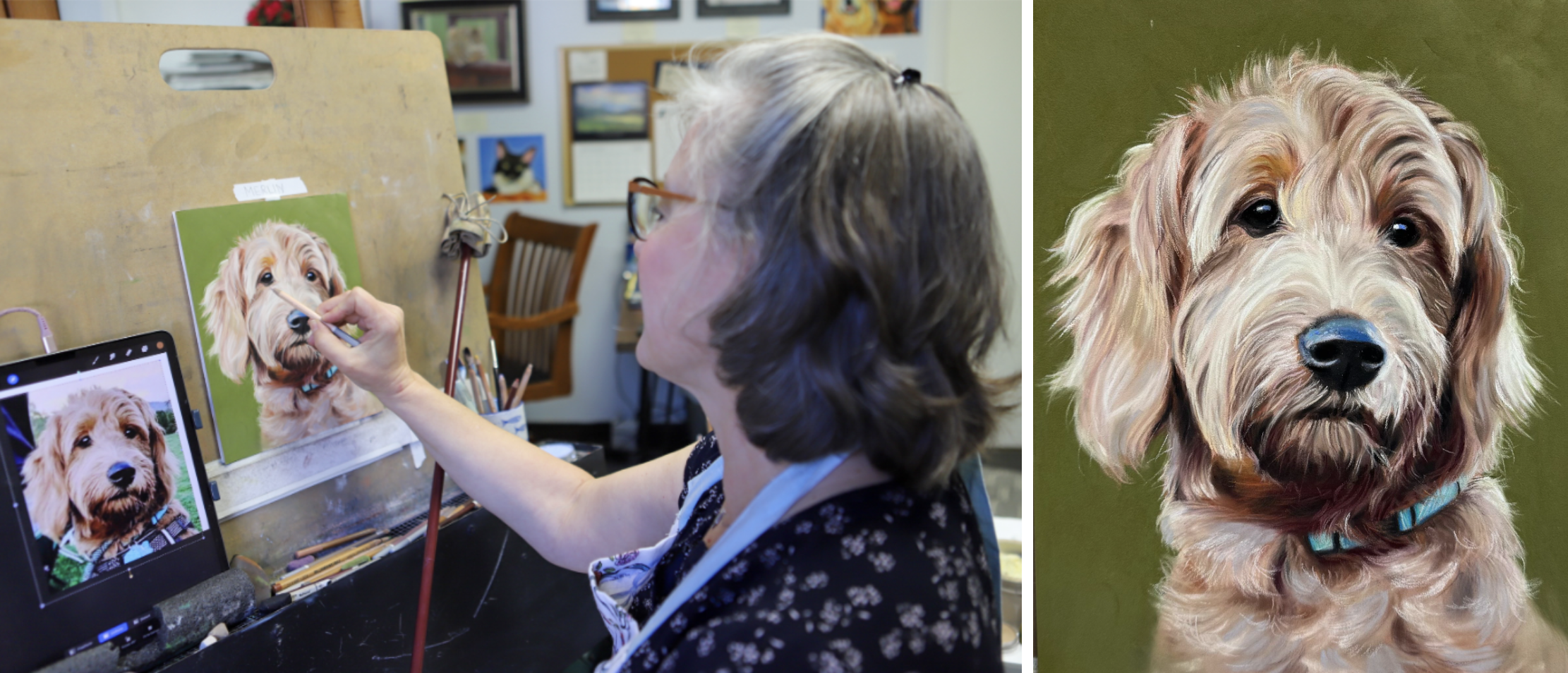 How a Pet Portrait Is Made: My Process From Photo to Finished Painting