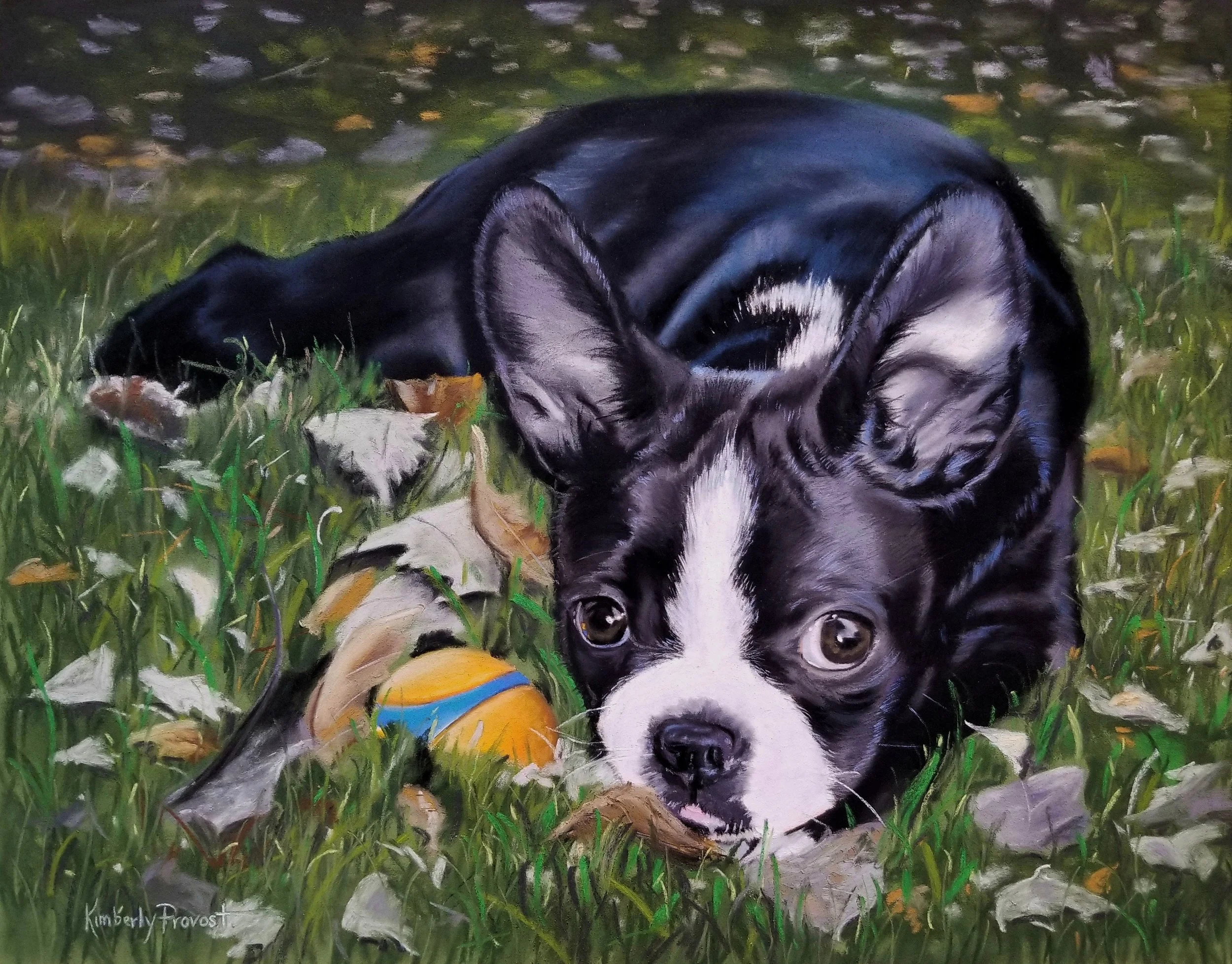 Liberty, Custom pastel pet portrait by Kimberly Provost, Burlington VT — a unique holiday gift for pet lovers