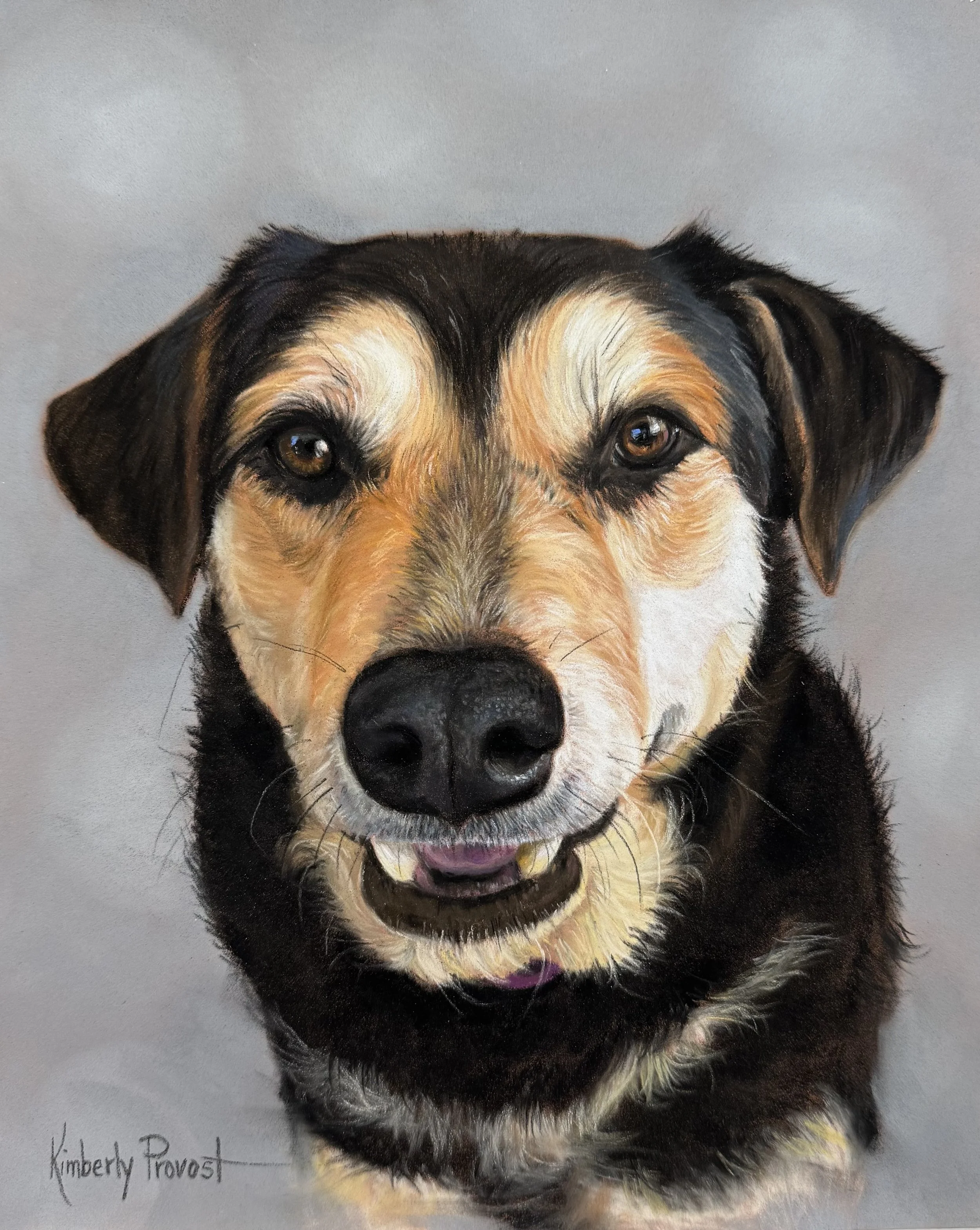 Brown, Tan and Black Dog Pastel Portrait by Kimberly Provost