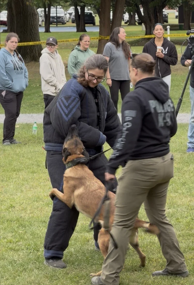 A police dog demonstration