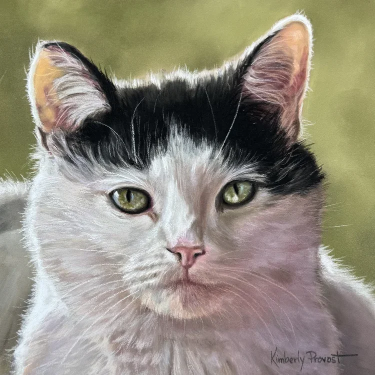 painting of a cat