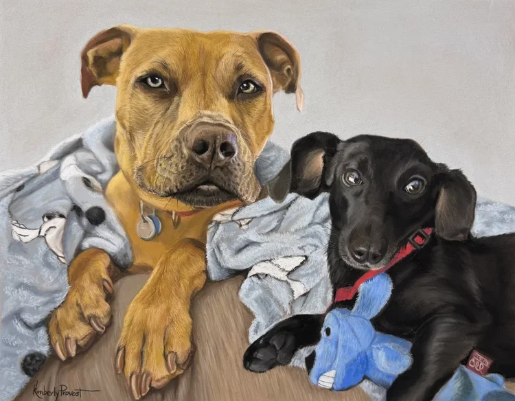 This month’s featured portrait stars two wonderfully quirky dogs named Tess and Faith