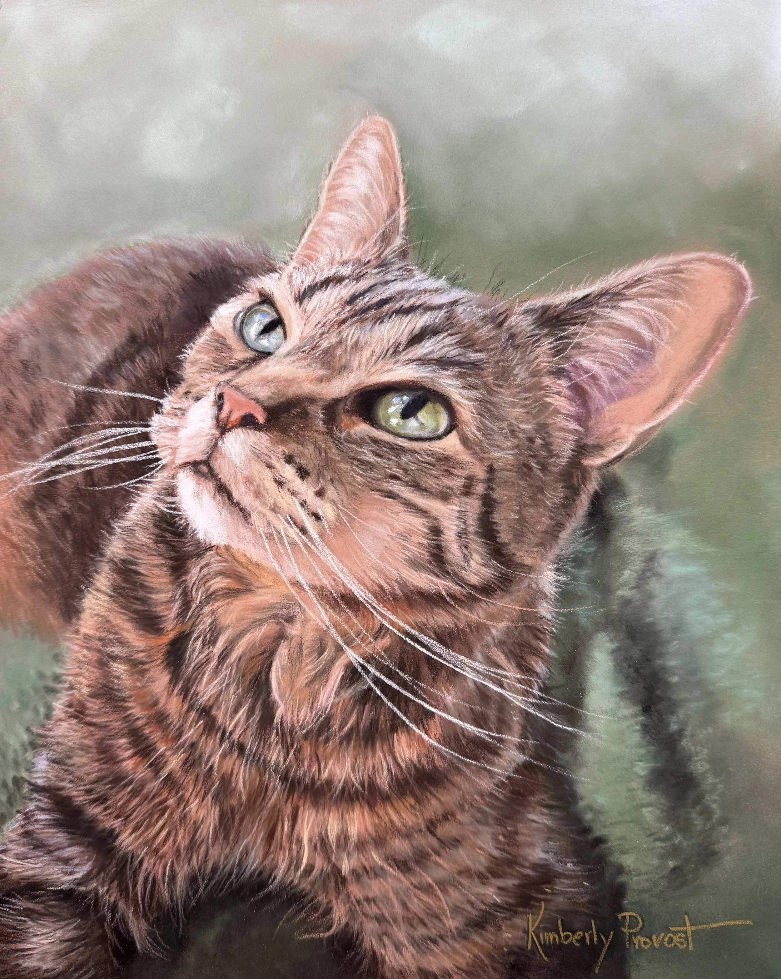 Jackson - pastel portrait of a green-eyed tabby cat with green background.