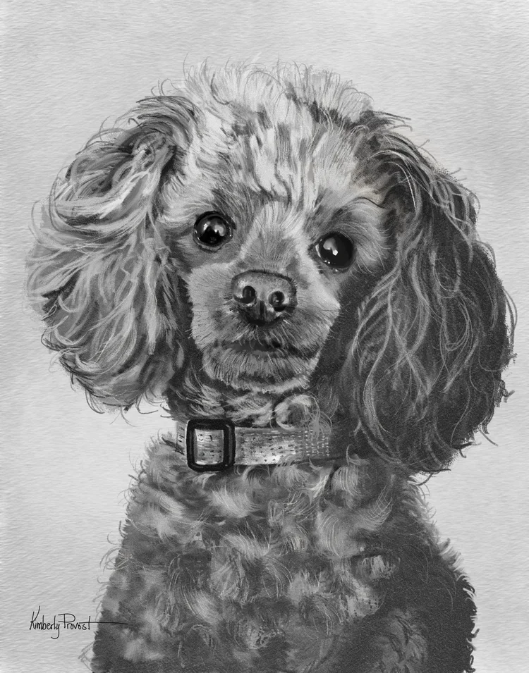 Drawing of Dani From 2023