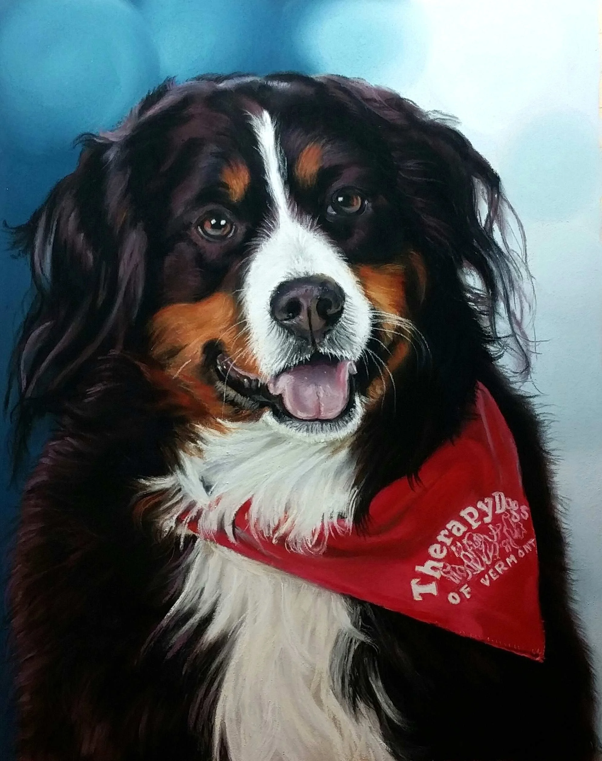cassie bernese mountain dog with therapy bandana
