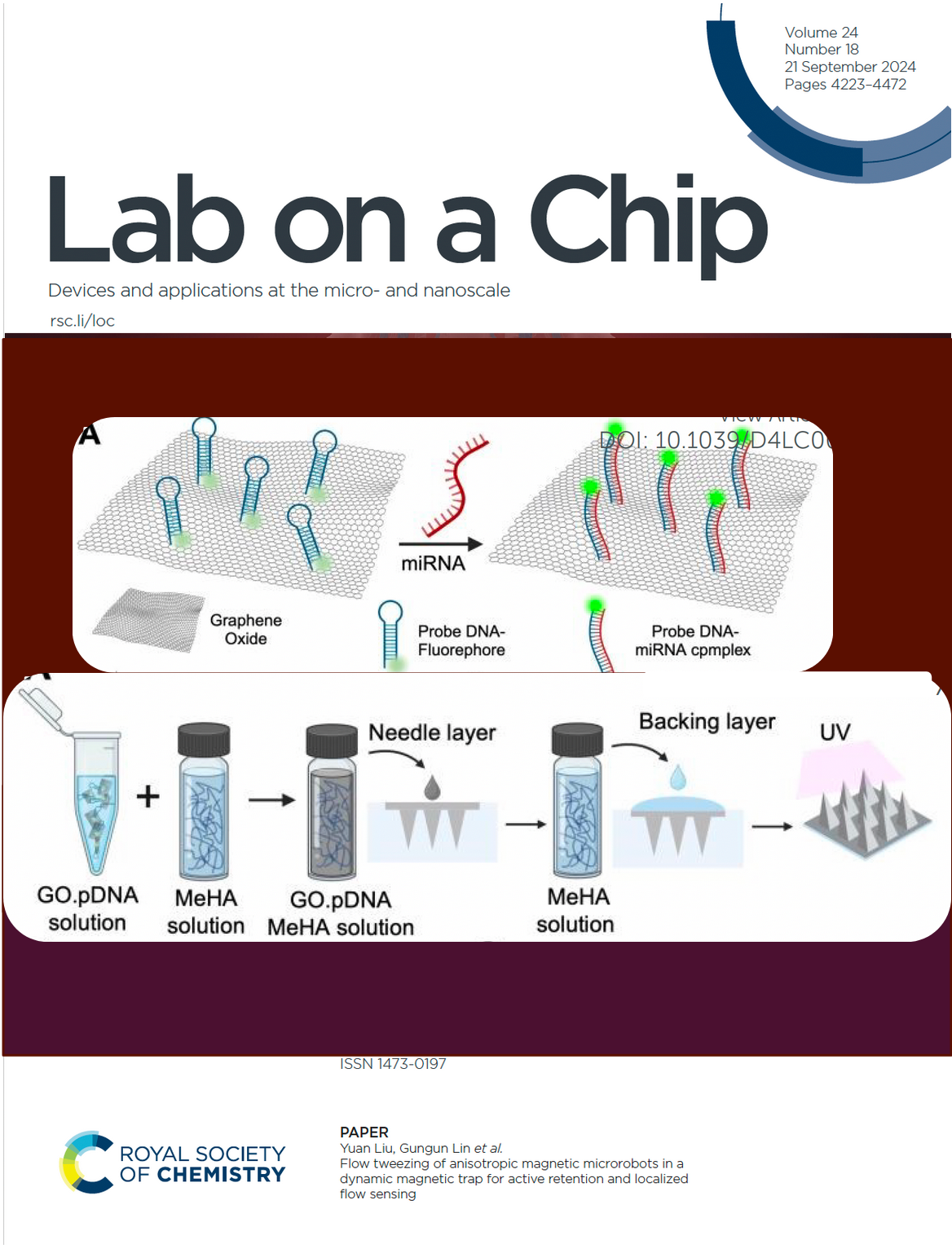 Scientific journal article cover titled 'Lab on a Chip' with illustrations of graphene oxide biosensing and DNA probe fabrication processes, published by the Royal Society of Chemistry.