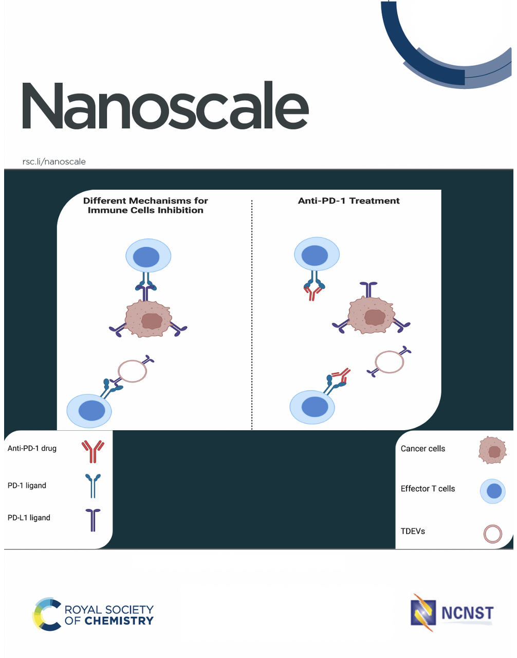 Nanoscale paper photo