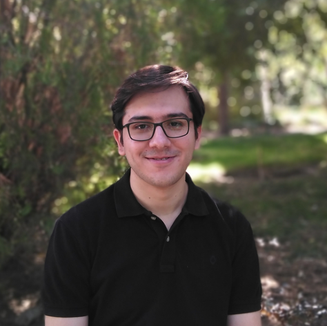 HESAM ABOUALI