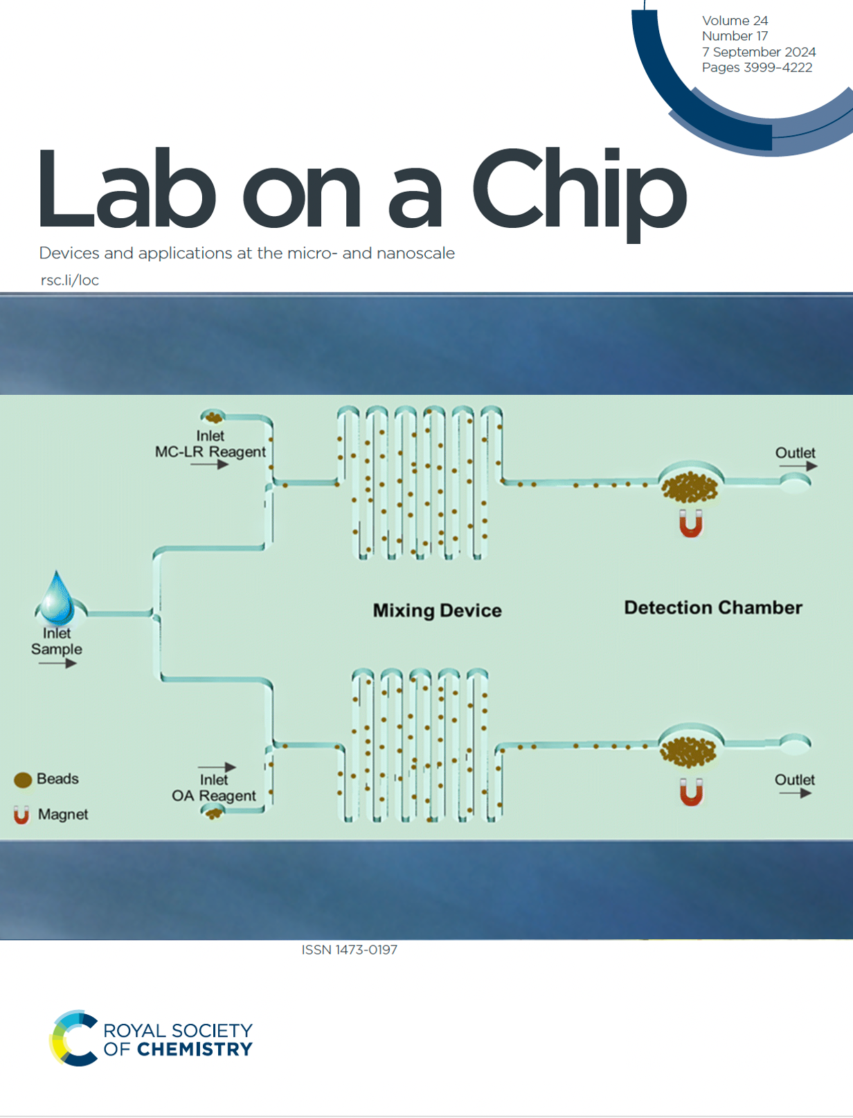 Lab on a chip paper photo
