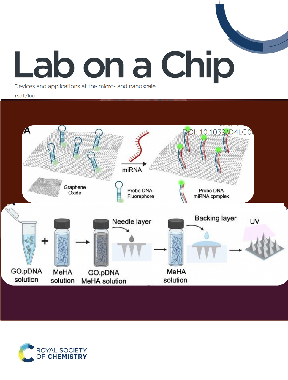 Lab on a chip paper photo