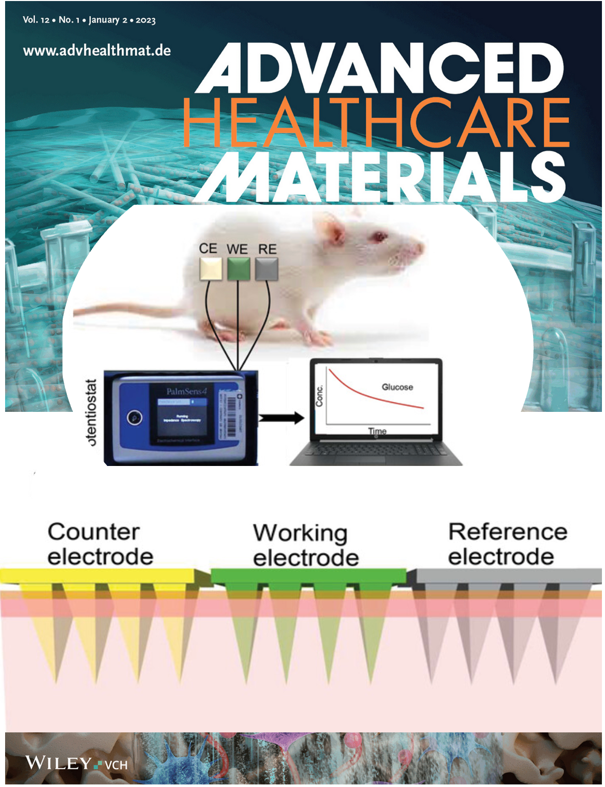 Advanced healthcare materials paper photo