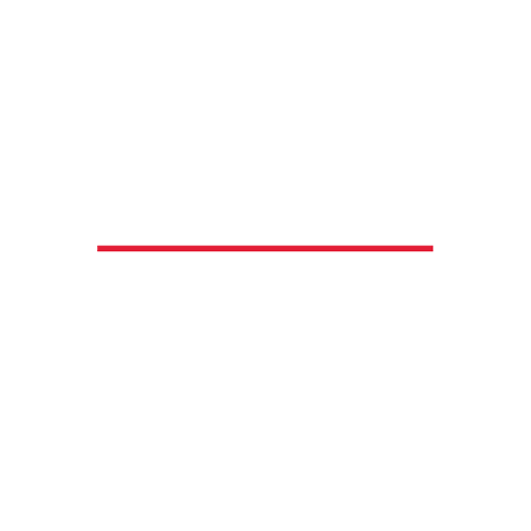 Porsche Motorsport North America Logo