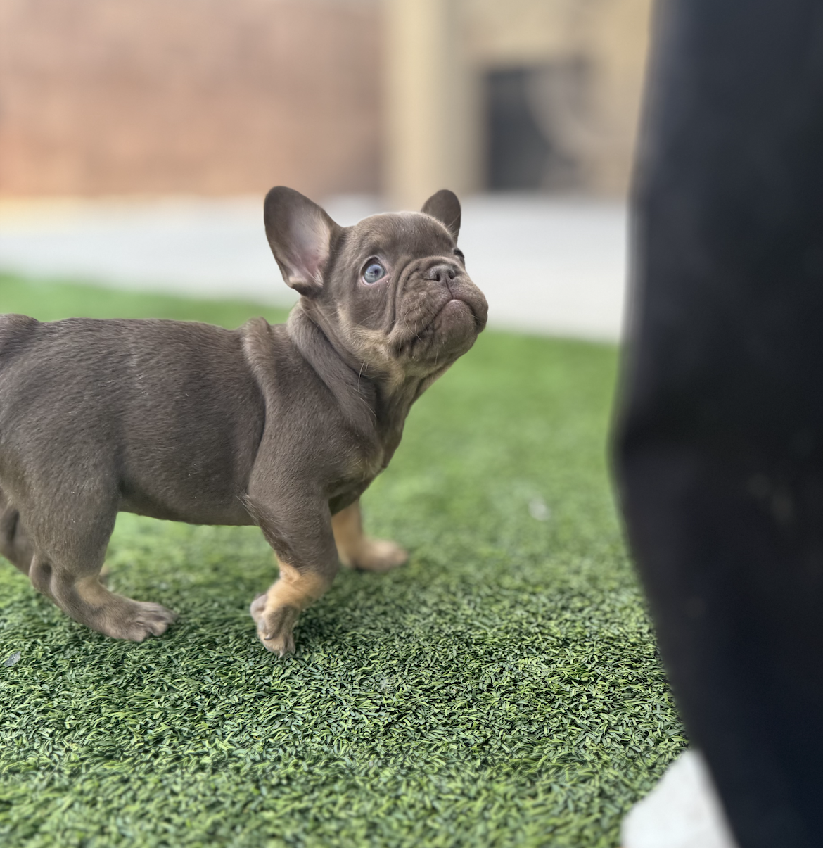 Screenshot 2025-12-18 at 12.41.54 PM.png