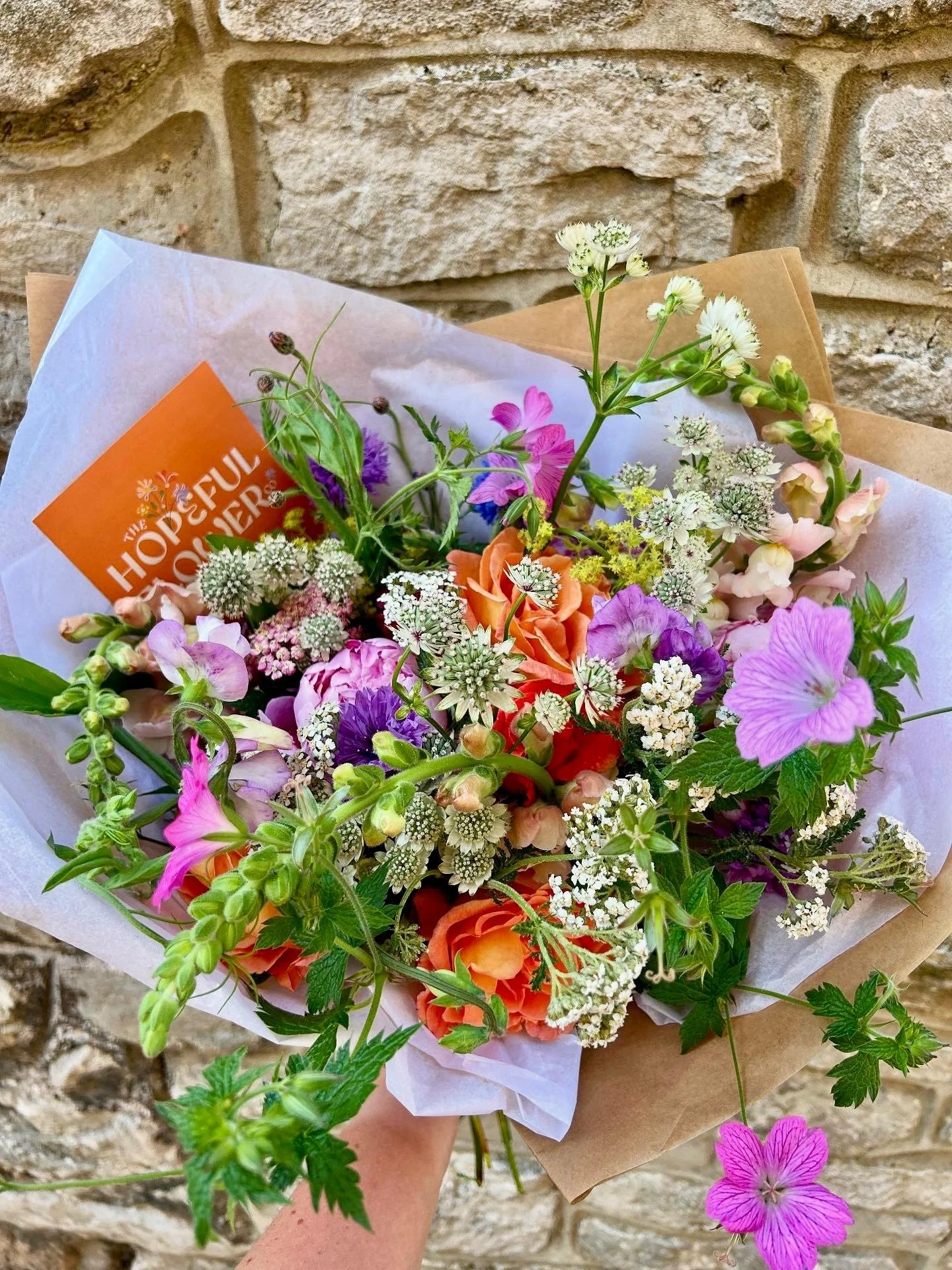 WhatsApp Image 2025-07-22 at 14.16.53 (1).jpeg