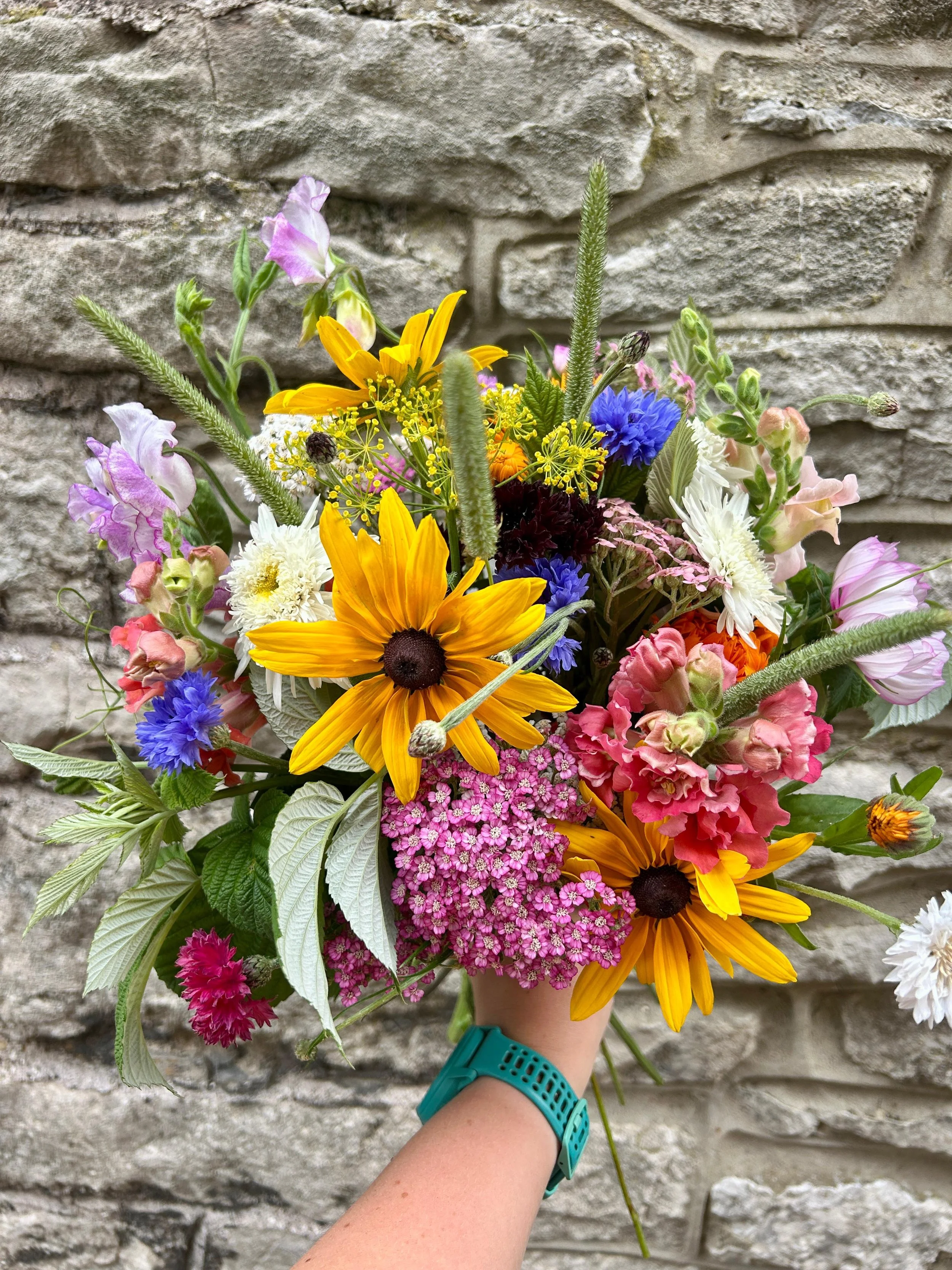 WhatsApp Image 2025-07-22 at 14.16.53.jpeg