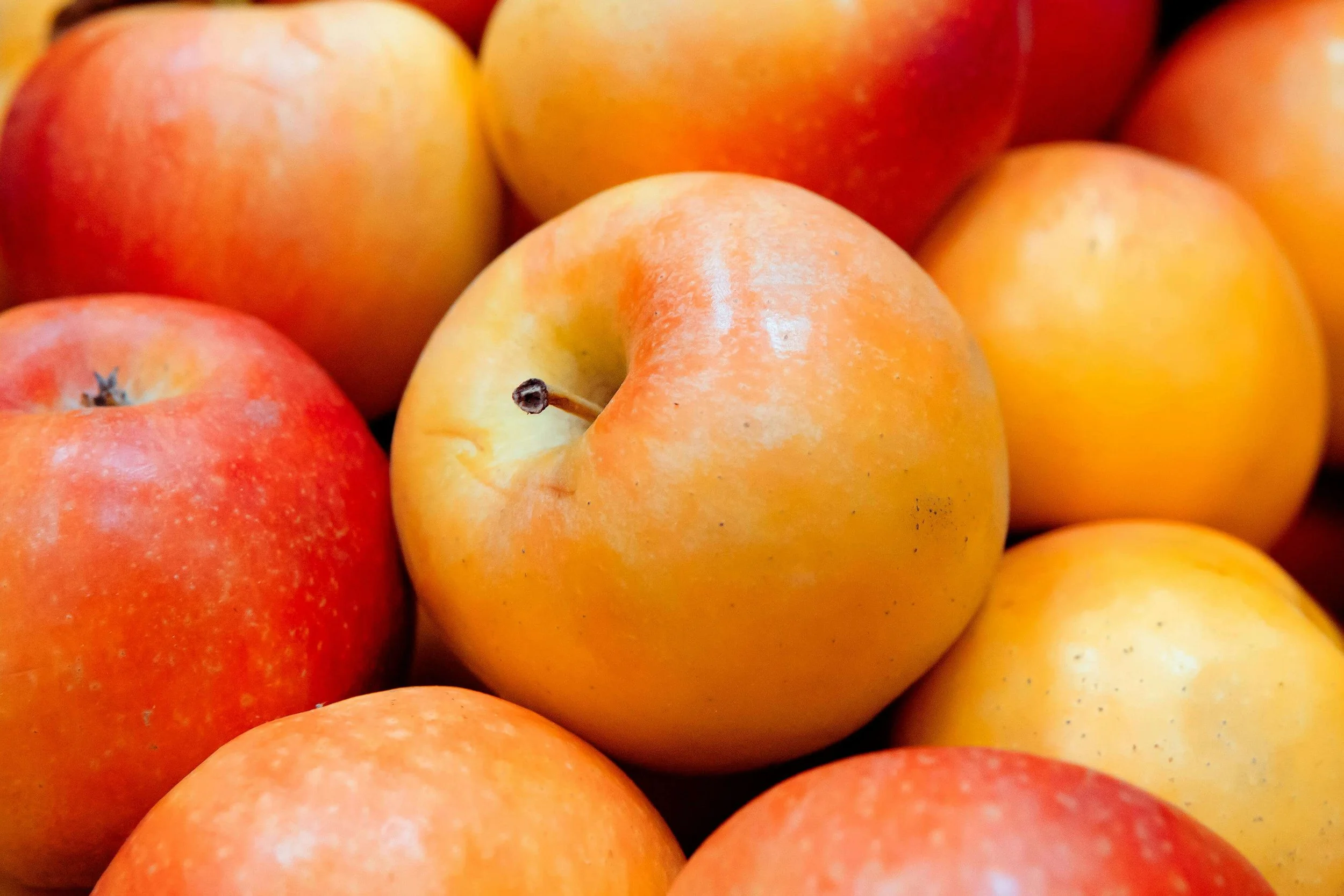 07: Rx Apples -- The Apple Advantage