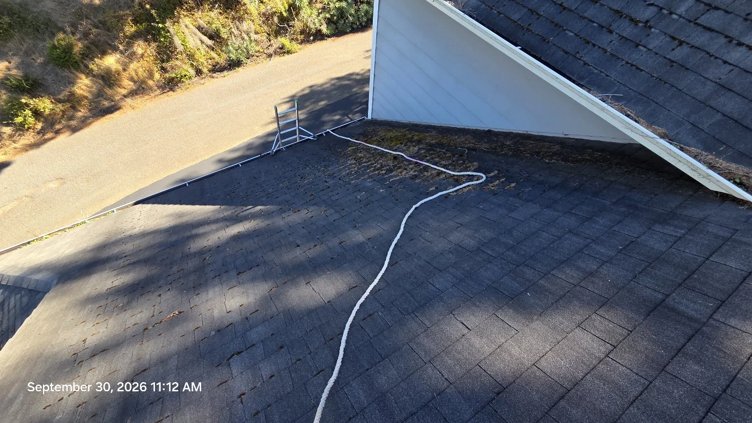 Another section shows just how widespread the moss growth had become across the approximately 1,900-square-foot roof.