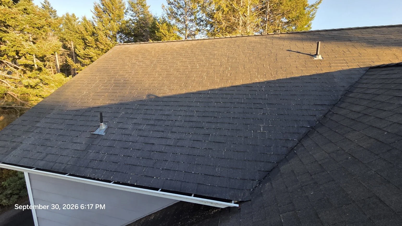 After carefully removing the moss, the difference was immediate—the shingles were visible again and the roof had a much cleaner, maintained appearance.