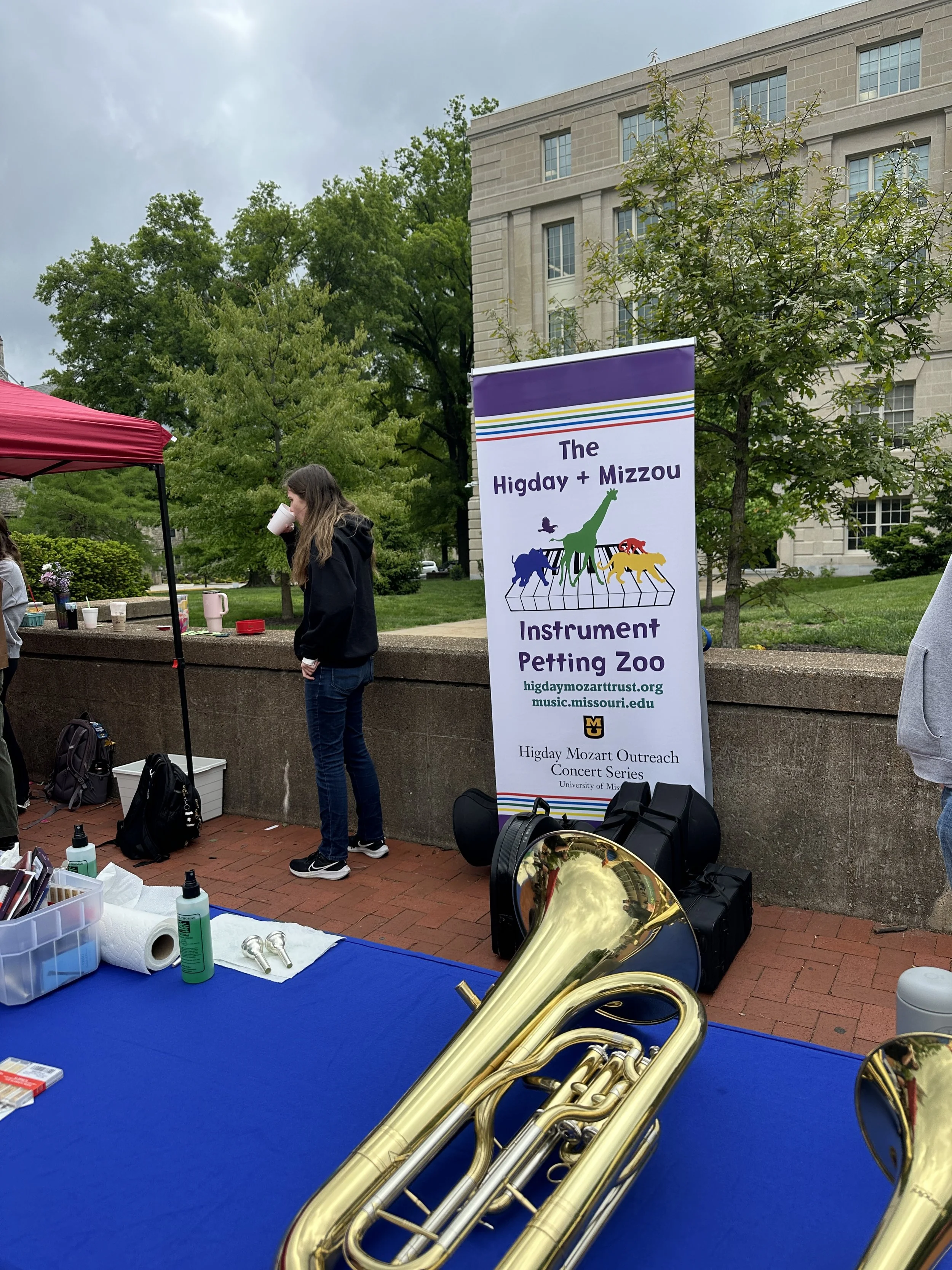 banner at instrument petting zoo state music fest.JPG