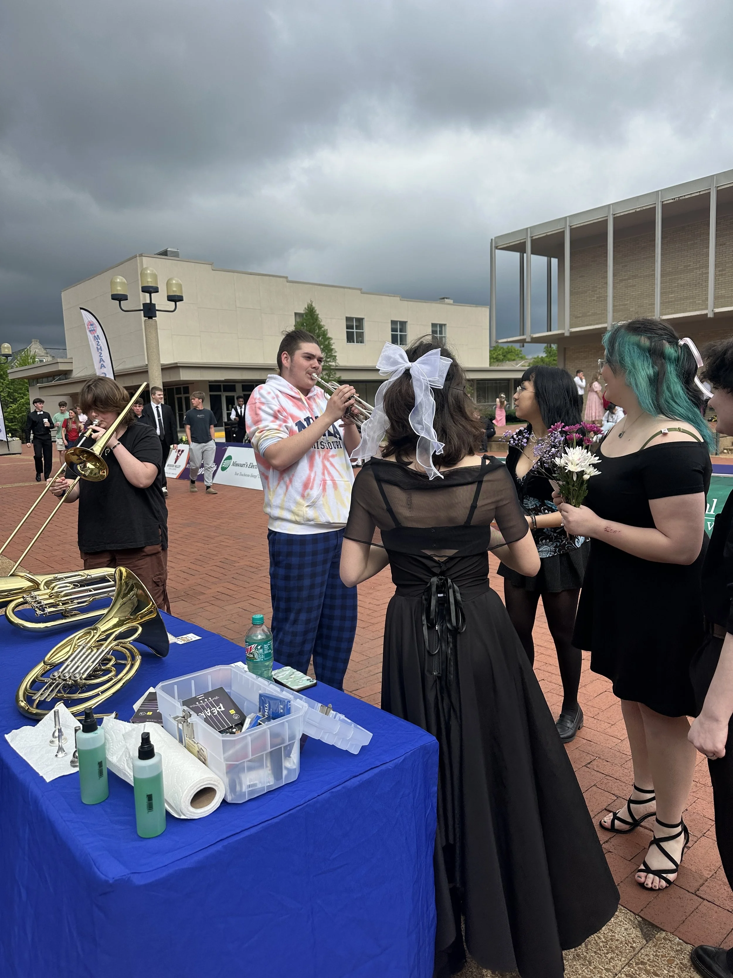 state music fest instrument petting zoo.JPG