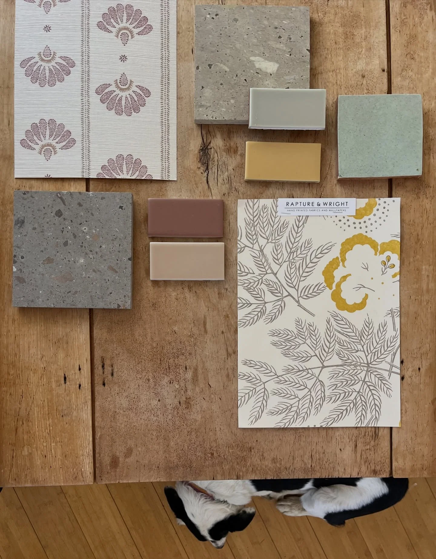 Friday flat lay - playing with a few tile samples that we received this week. Can you spot my assistant? 

#wrkroominteriors #maineinteriordesign #midcoastinteriors #flatlays #bathroomdesign