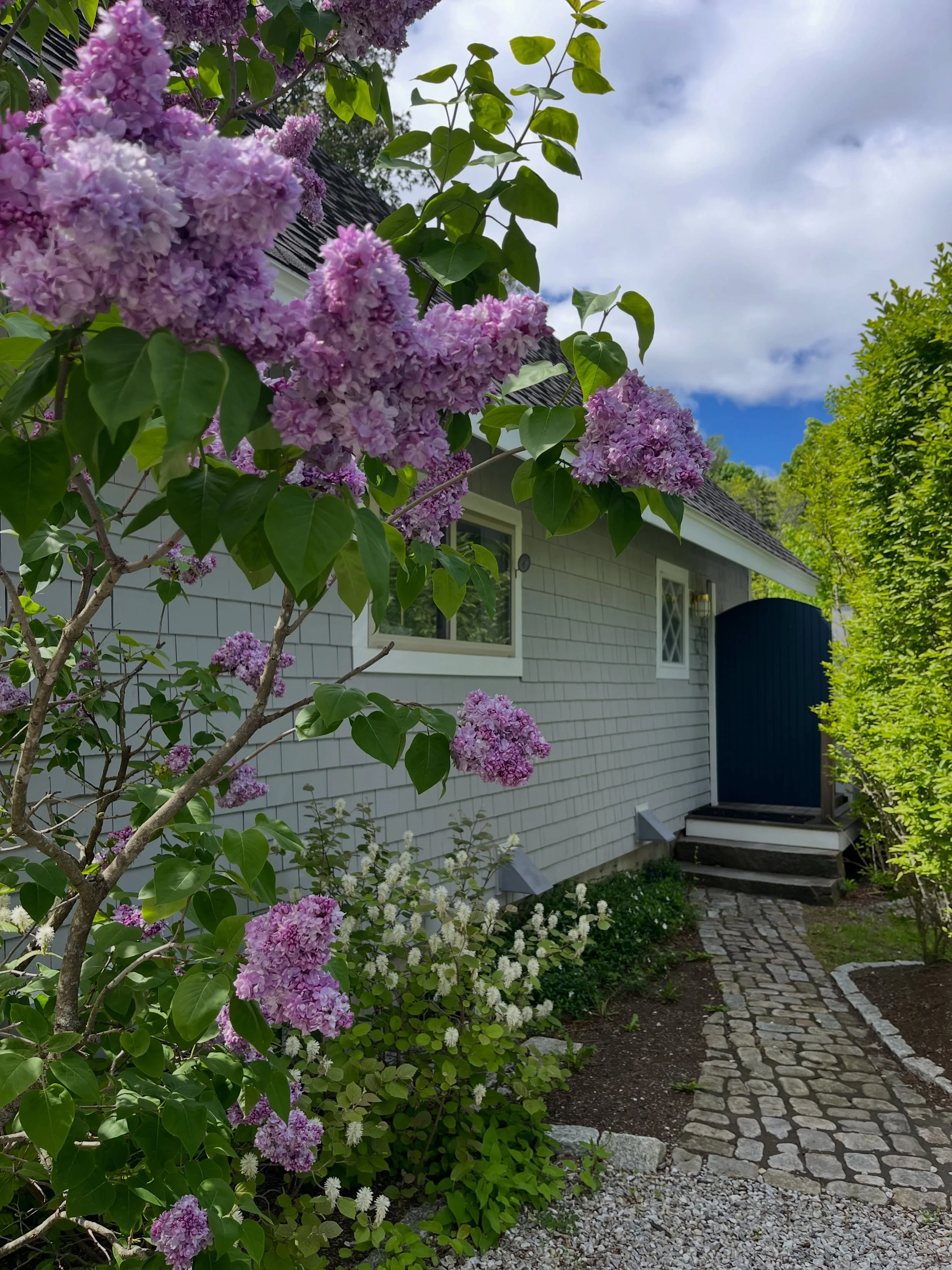 Photographing the interior of this sweet cottage soon; though it looks ready for its close-up already - surrounded in spring blooms. 

#maineinteriordesign #mainecottage #wrkroominteriors #midcoastinteriors #springinmaine