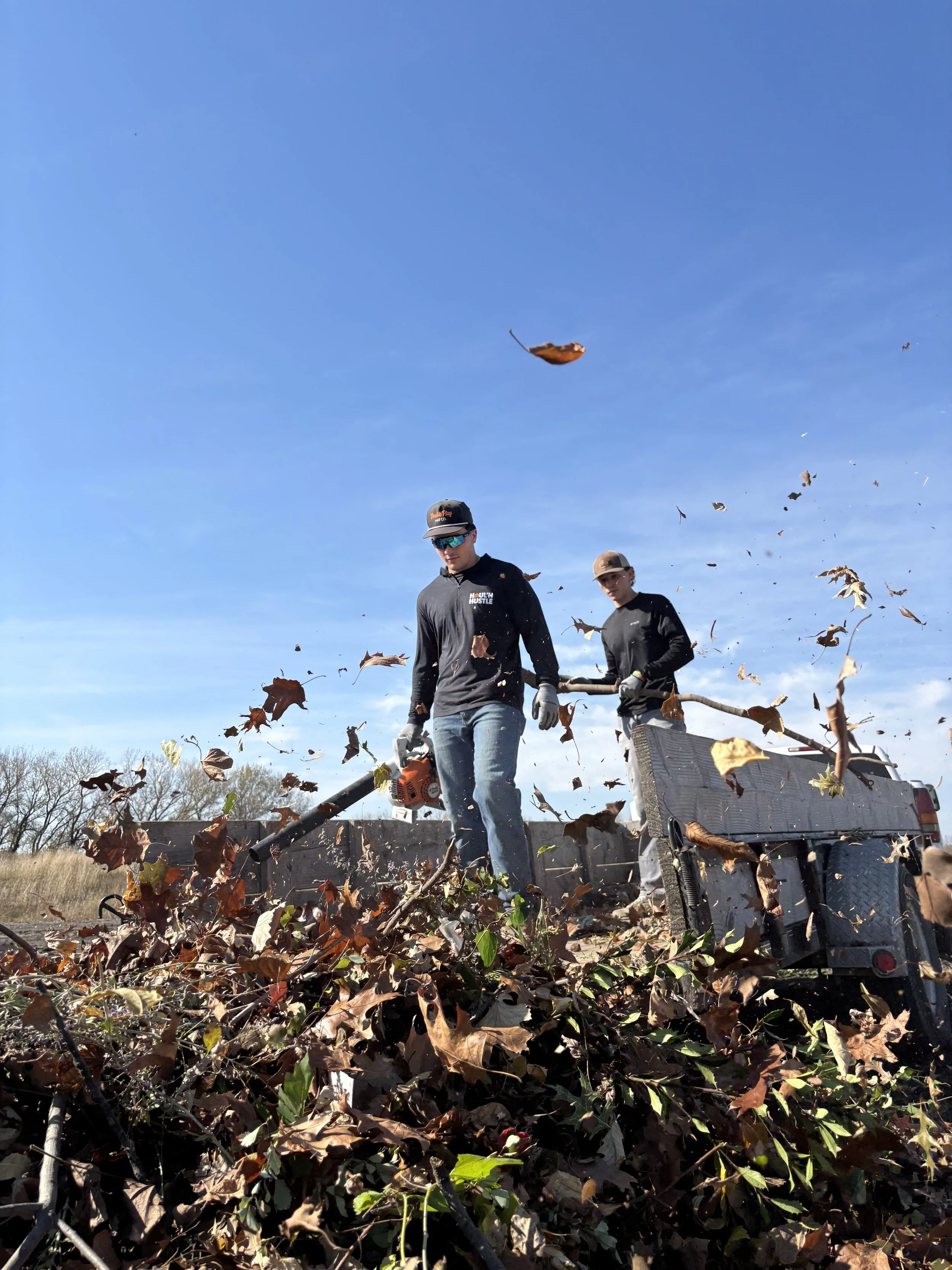 Well-maintained garden with a curved stone border, green bushes, rocks around plants, illuminated background, and lush trees.