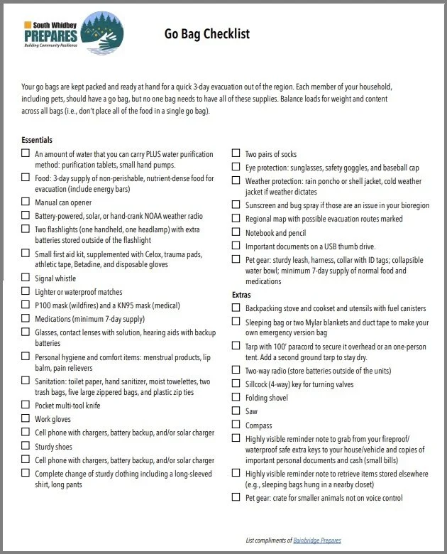 thumbnail view of the go bag checklist