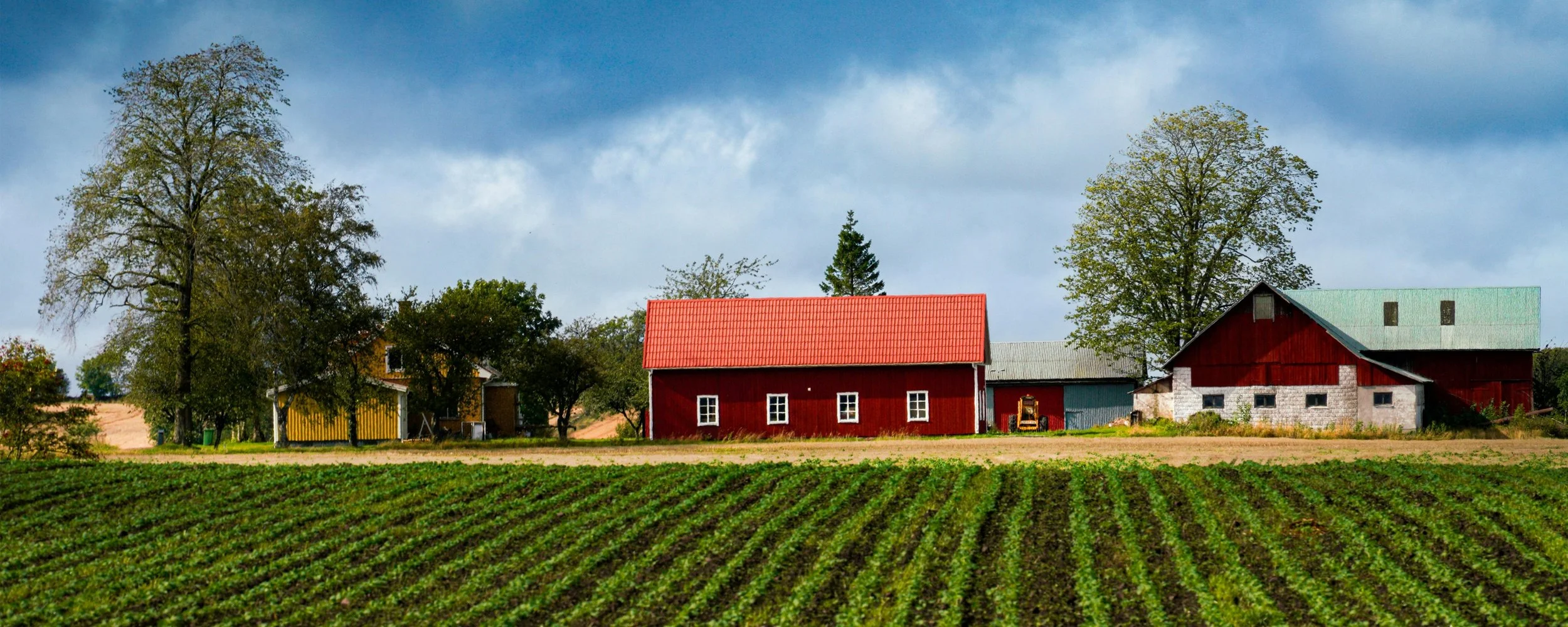 Blog 51 - Images.jpg