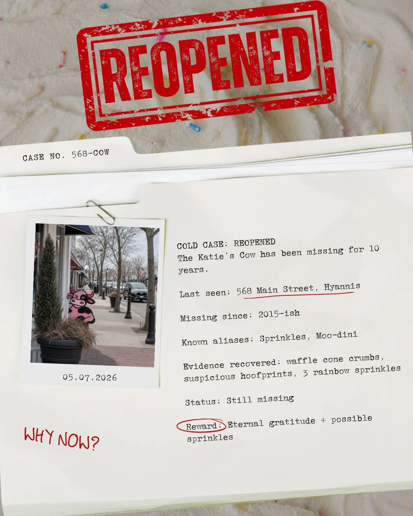 COLD CASE: REOPENED

After 10 years, the case of the missing cow is officially active again. 

We don&rsquo;t know where she&rsquo;s been.
We don&rsquo;t know what she knows.
But something tells us this case is about to get colorful.

If seen, report