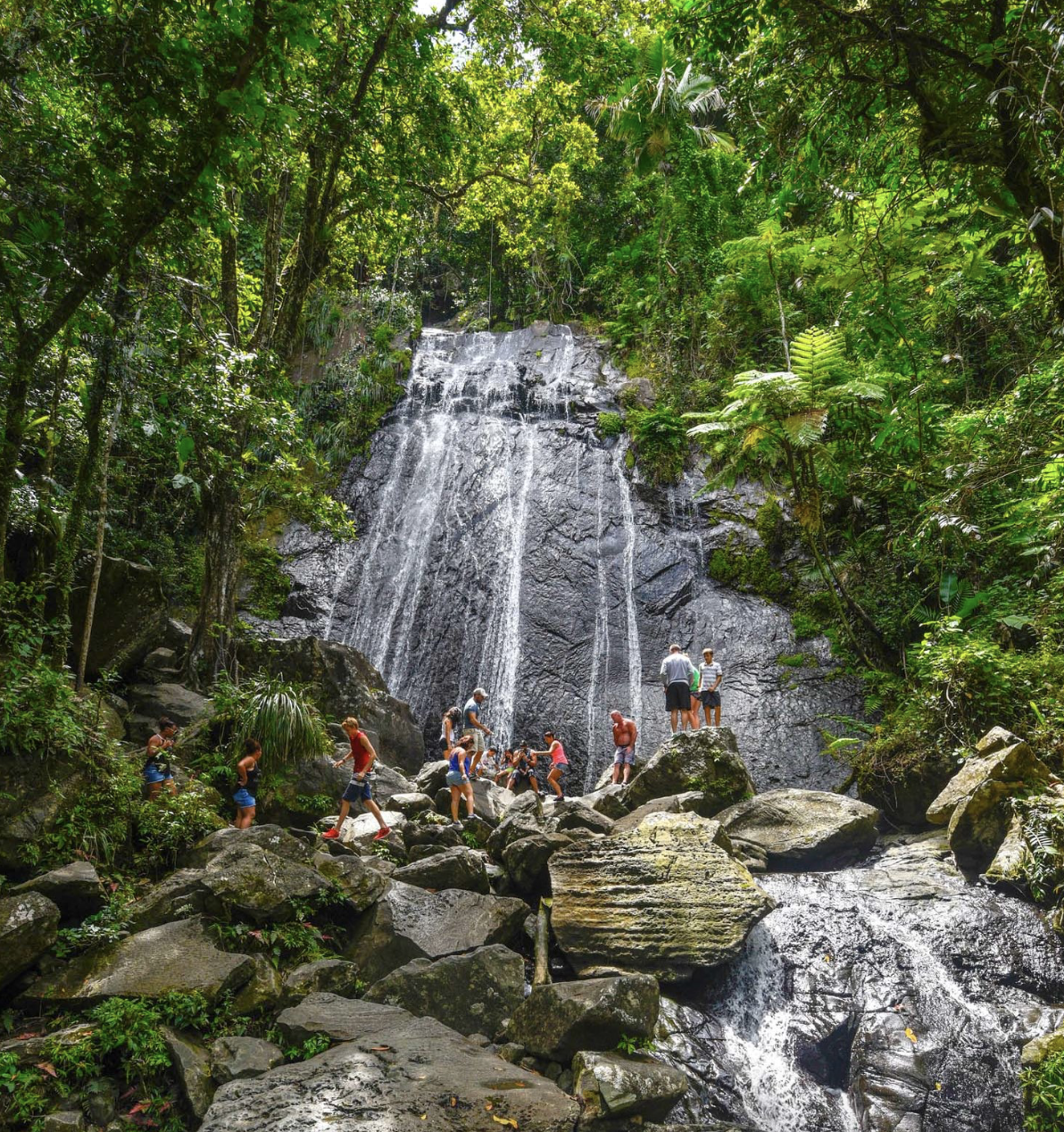 People exploring and walking on rocks near a waterfall in a lush green forest.