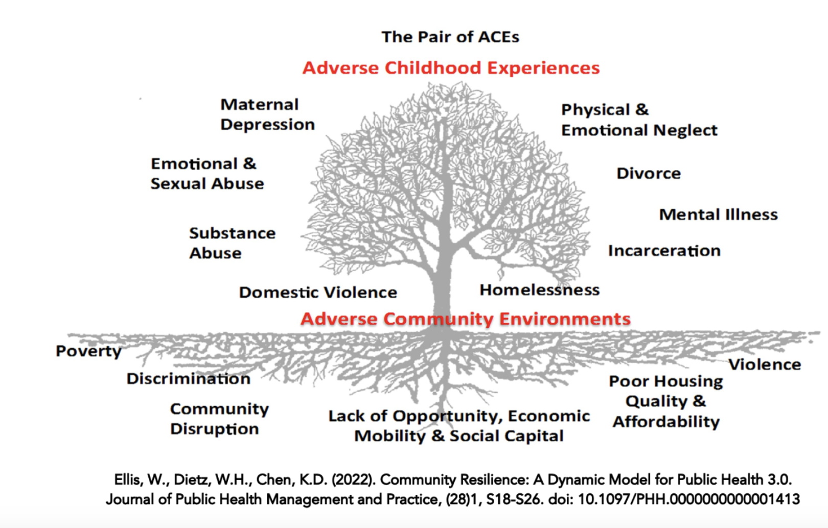 A tree diagram illustrating adverse childhood experiences as the leaves of the tree, including maternal depression, emotional and sexual abuse, substance abuse, domestic violence, physical and emotional neglect, divorce, mental illness, incarceration, homelessness, and others. The roots represent adverse community environments such as poverty, discrimination, community disruption, lack of opportunity, poor housing, and violence, emphasizing the impact of community factors on childhood adversity.