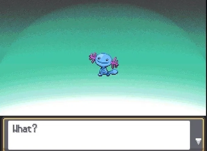 what.jpg