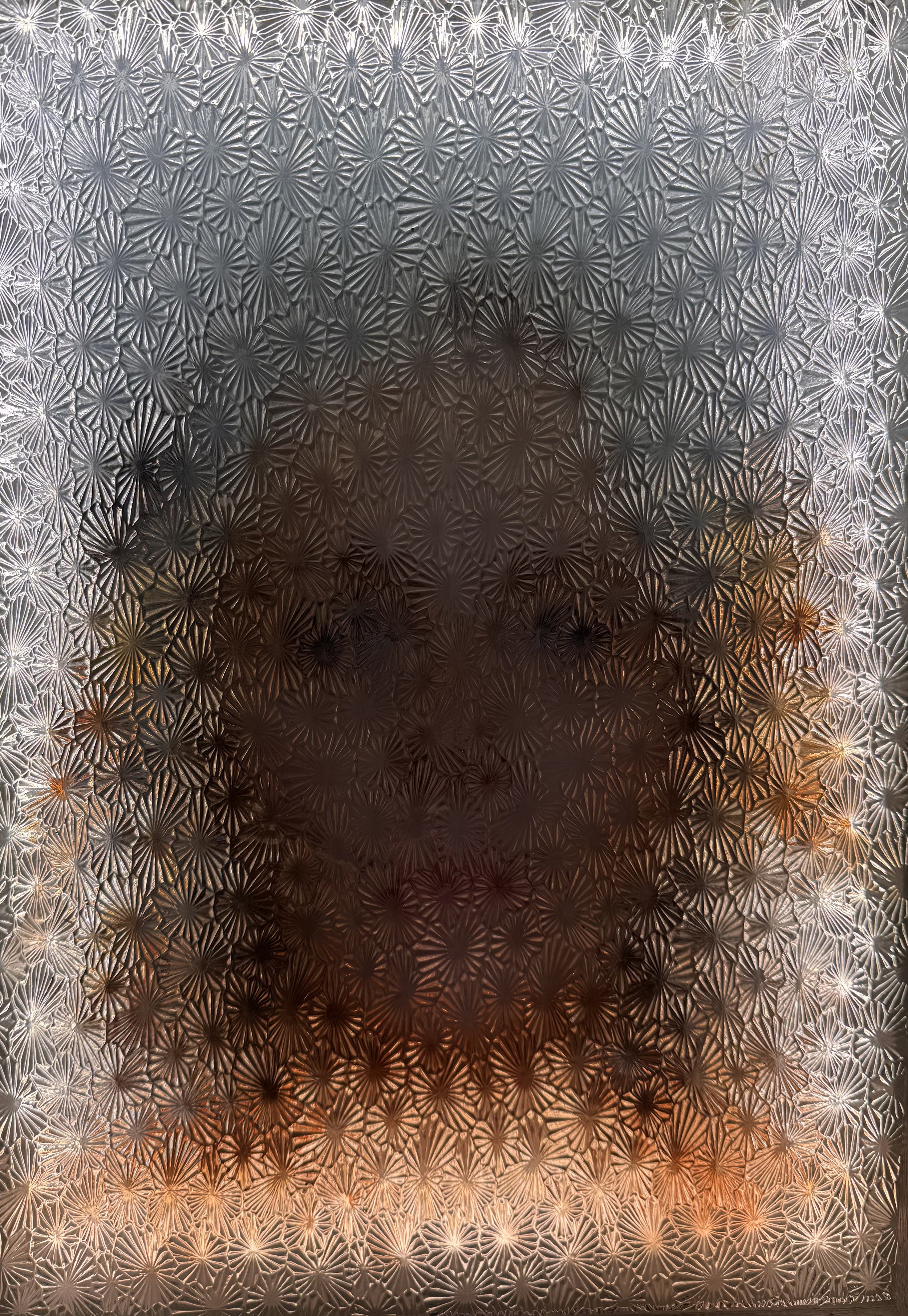 Age of Invisibility, 
Altered float glass, acetate, mirror
30x40x15cm