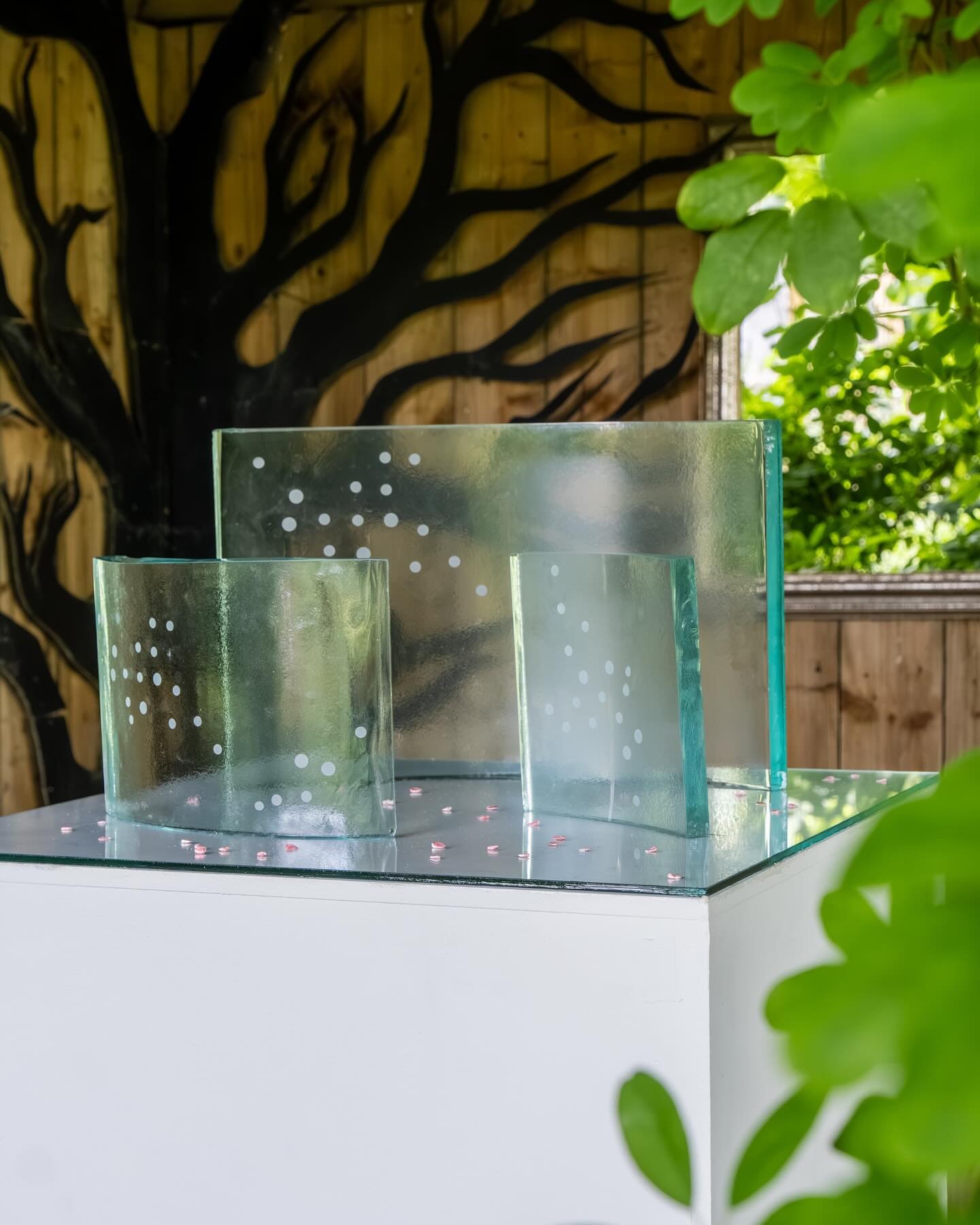 ‘Echoes of Blossom’
Annie James, Glass Artist
BA (Hons) Glass and Ceramics, Year 2, University of Sunderland
Echoes of Blossom is a concept site-specific glass installation for Crook Hall Gardens (National Trust) inspired by the fleeting