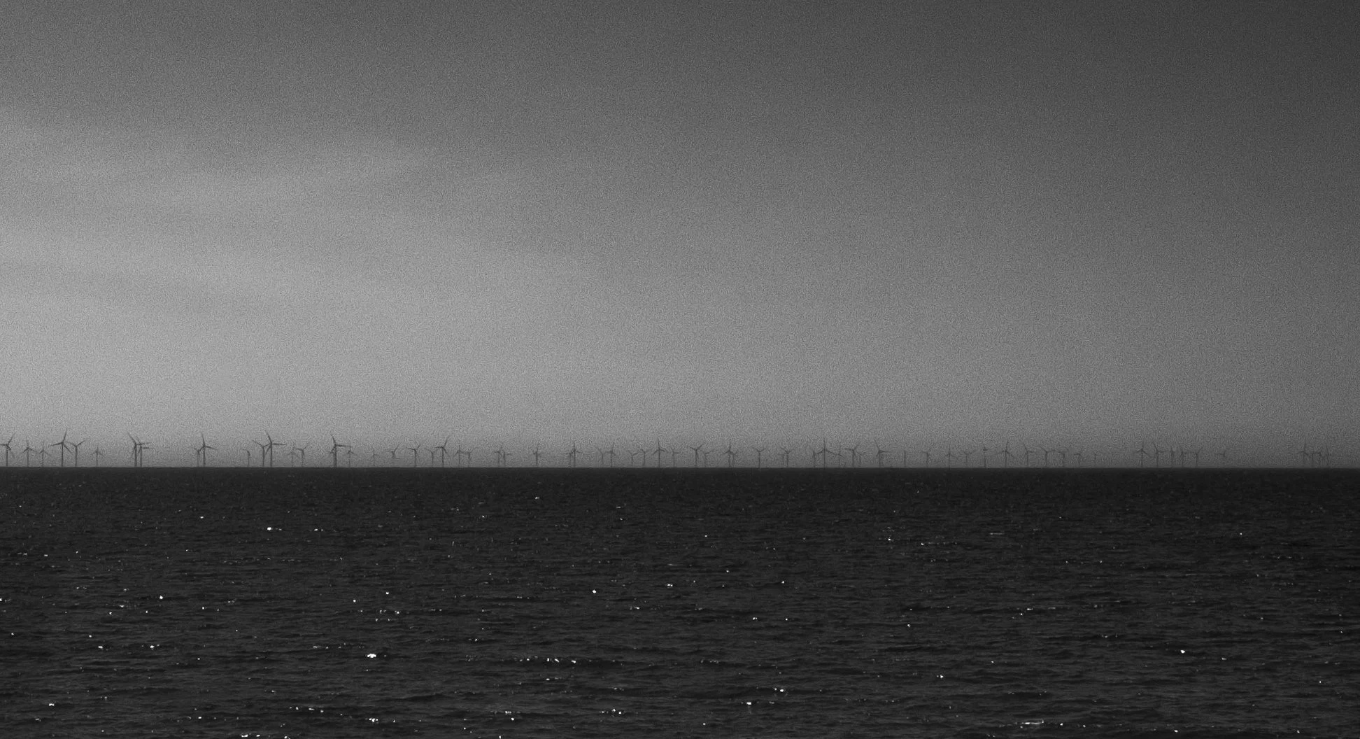 The Grey