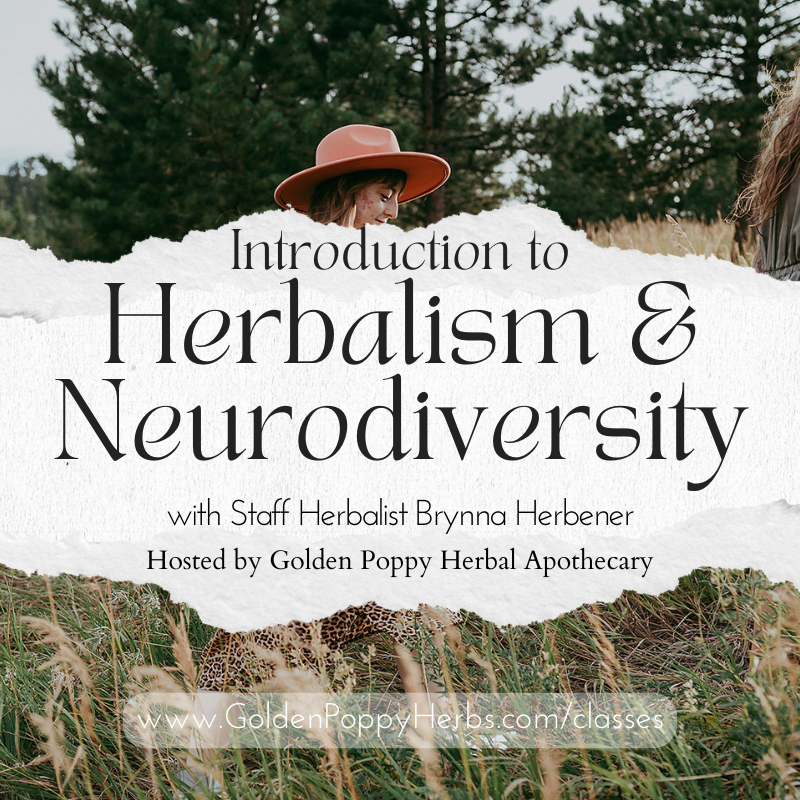 Introduction to Herbalism and Neurodiversity