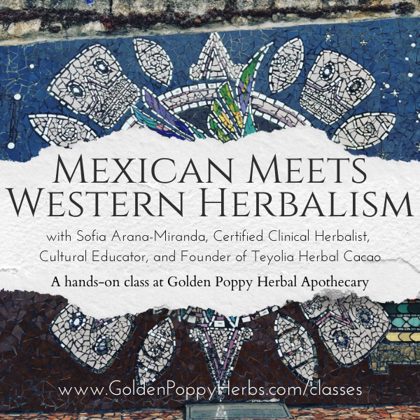 Mexican Meets Western Herbalism with Sofia Arana-Miranda @teyolia.sofia