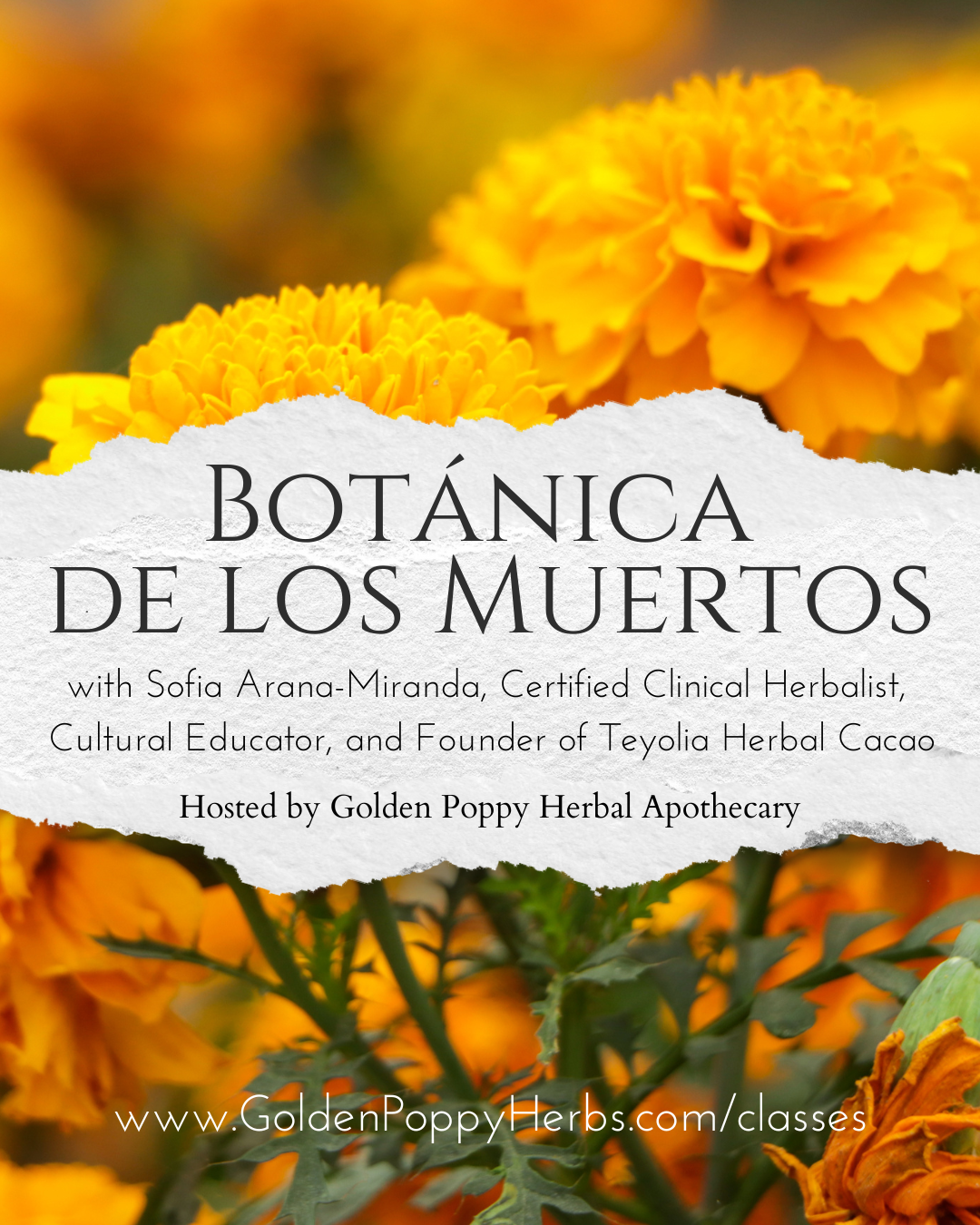 Botánica de los Muertos