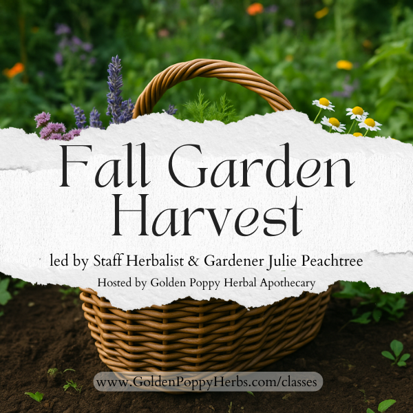 Fall Garden Harvest with Julie Peachtree