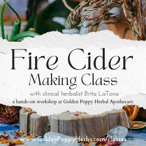 Fire Cider Making Class