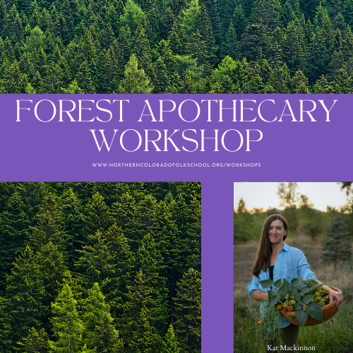 Forest Apothecary Workshop