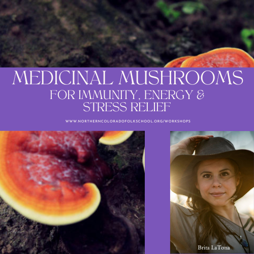 Medicinal Mushrooms for Immunity, Energy, and Stress Relief with Clinical Herbalist Brita LaTona