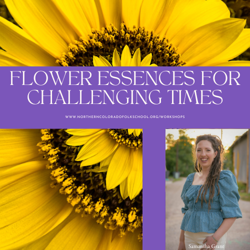 Flower Essences for Challenging Times
