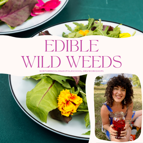 Edible Wild Weeds